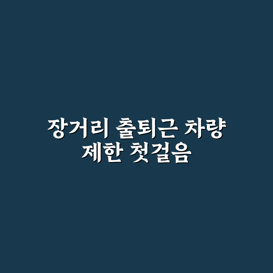 차량 2부제 장거리출퇴근 직접 해보니 불편한 점과 변화