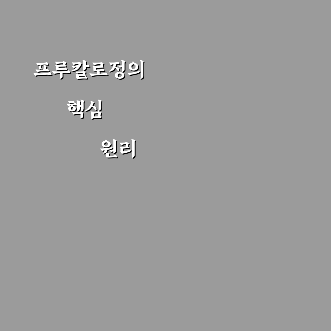 프루칼로정 복용법과 효과 쉽게 알려드려요