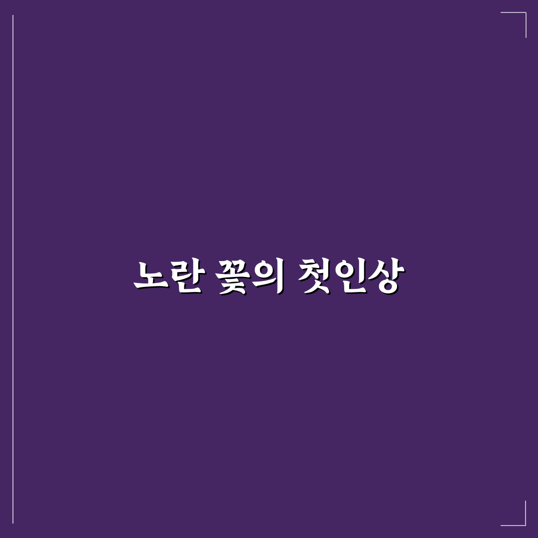 금계국 모종 직접 길러보니 생각보다 손쉬웠어요