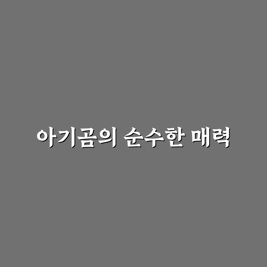 베어트리파크 아기곰 방문 전 알아두면 좋은 꿀팁