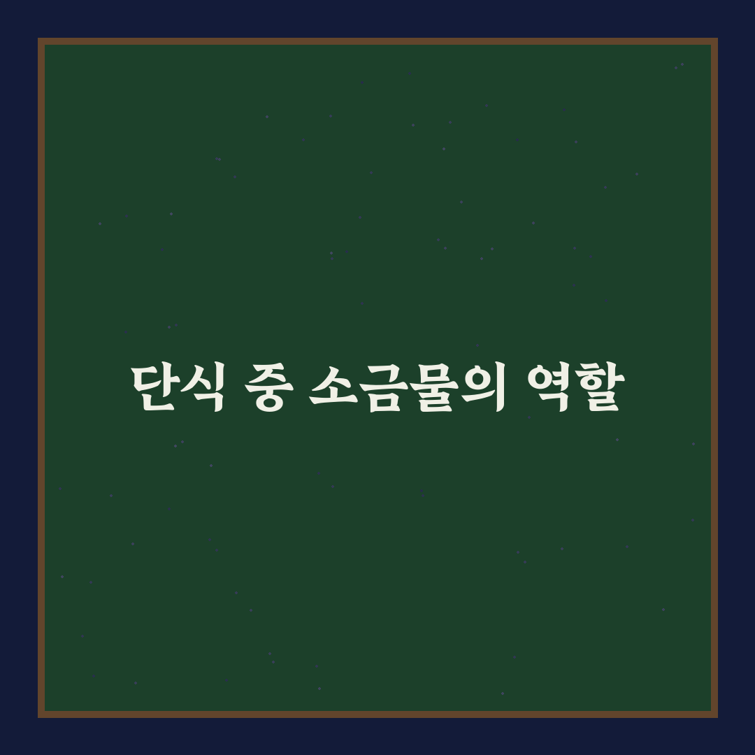 단식원 소금물 효과와 활용법 꿀팁 알려드려요