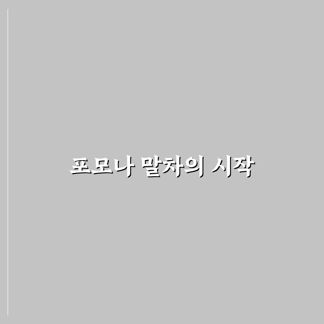 포모나 말차 사용 후기, 직접 써보니 맛과 향은 어떨까