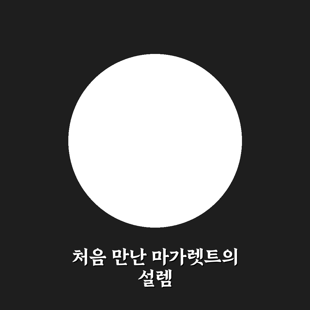 마가렛트 352g 사용 후기, 직접 먹어보니 느낌은