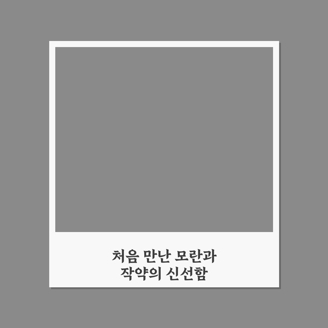 모란과 작약 차이점 직접 알아보니 헷갈렸던 부분