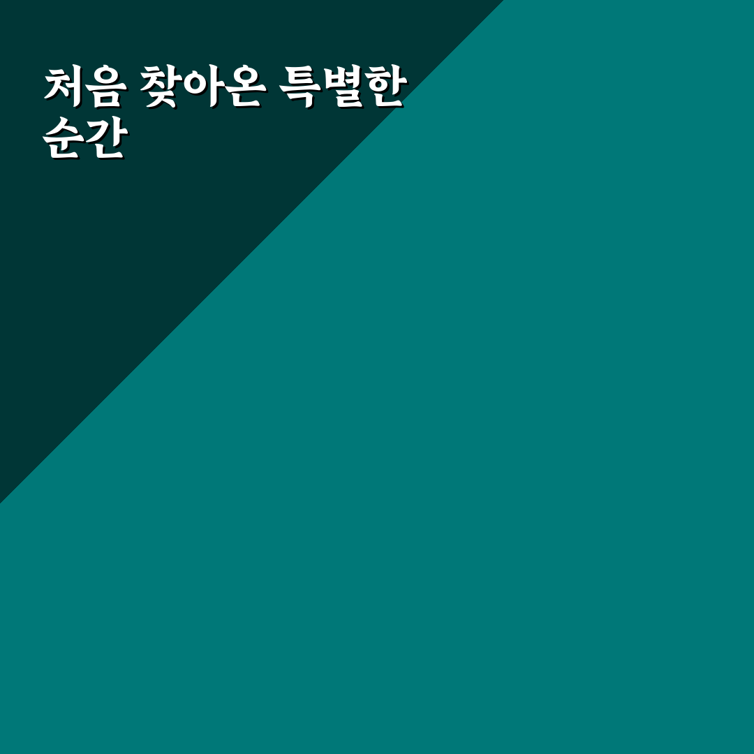 방목리 카페 방문 후기, 조용한 분위기에서 쉬고 온 이야기