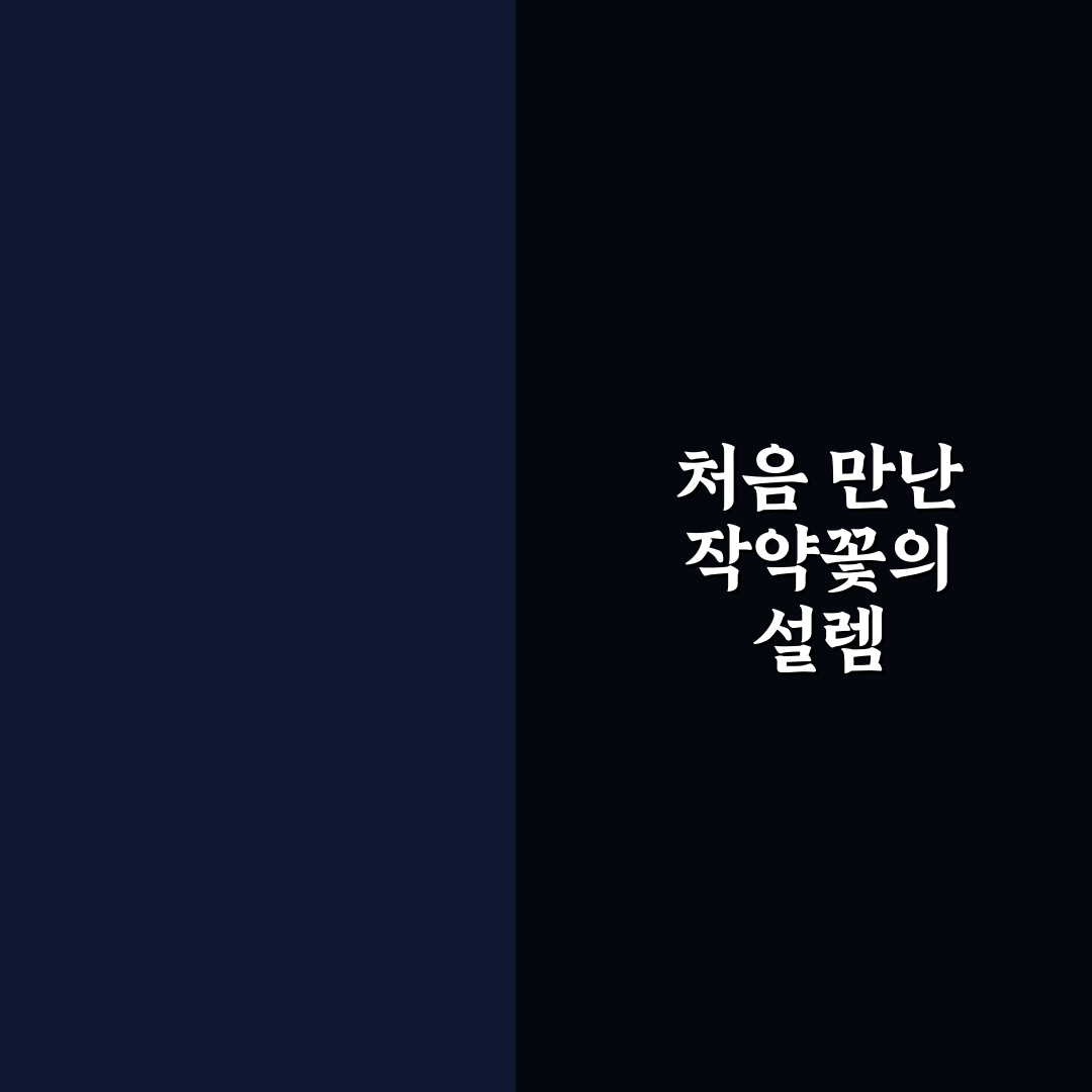 작약꽃이 안피는 이유 직접 알아보니 원인 정리