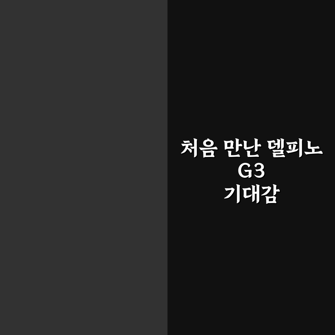 delfino g3 설치 오류 리얼리뷰, 직접 써보니 문제점은