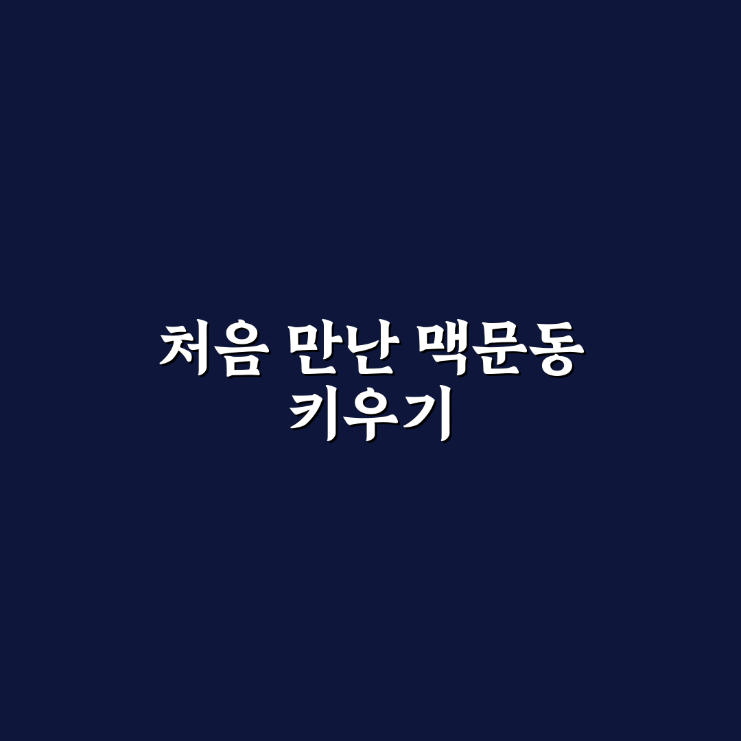 맥문동 심는시기 직접 알아보니 놓치기 쉬운 팁