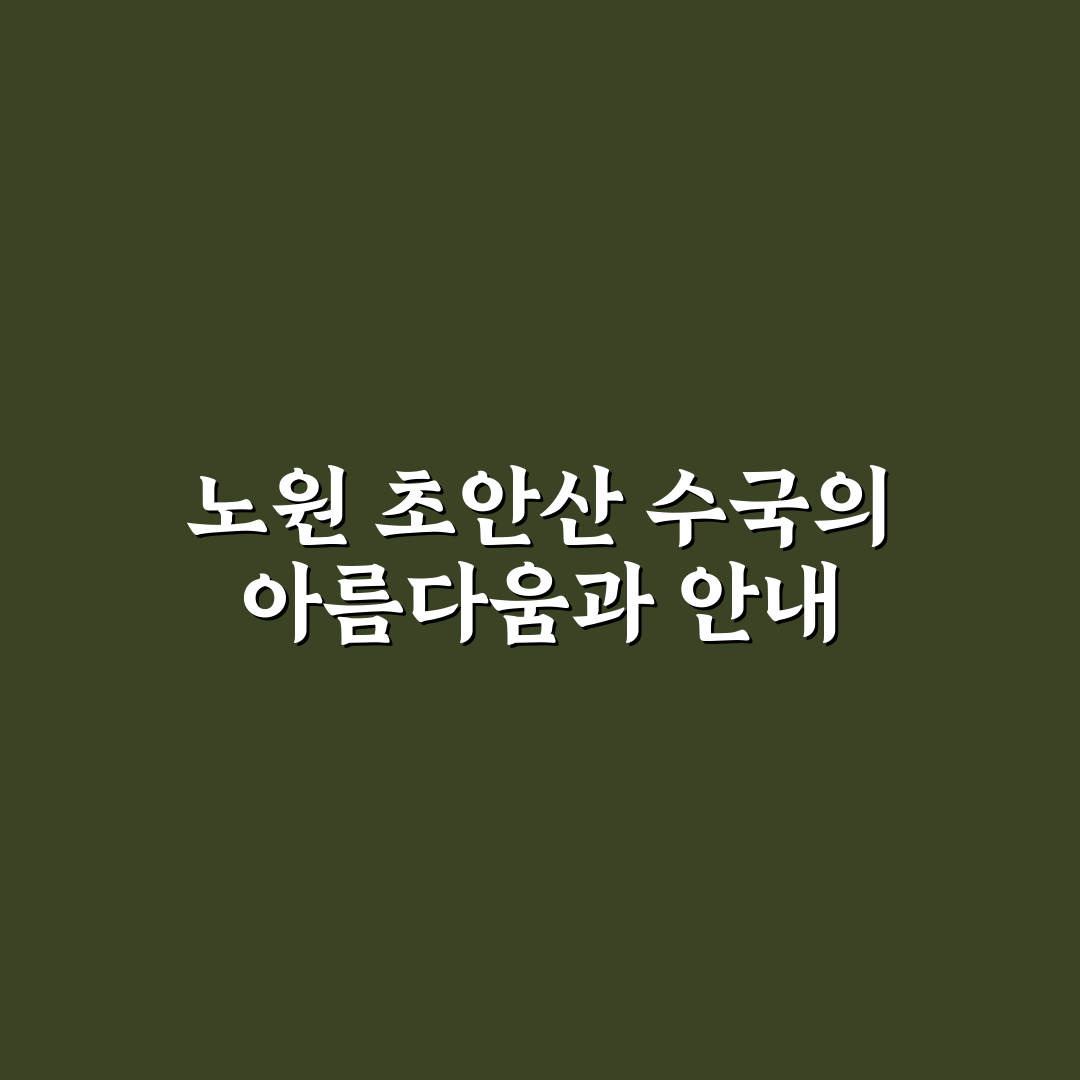 노원 초안산 수국동산 방문 꿀팁과 산책 코스 정리