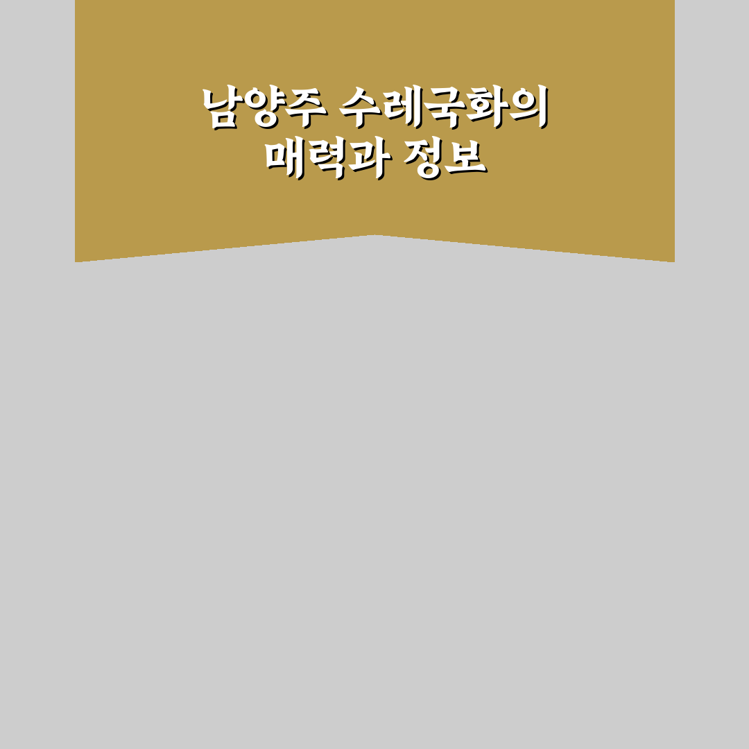 남양주 수레국화 방문 꿀팁과 산책 코스 정리