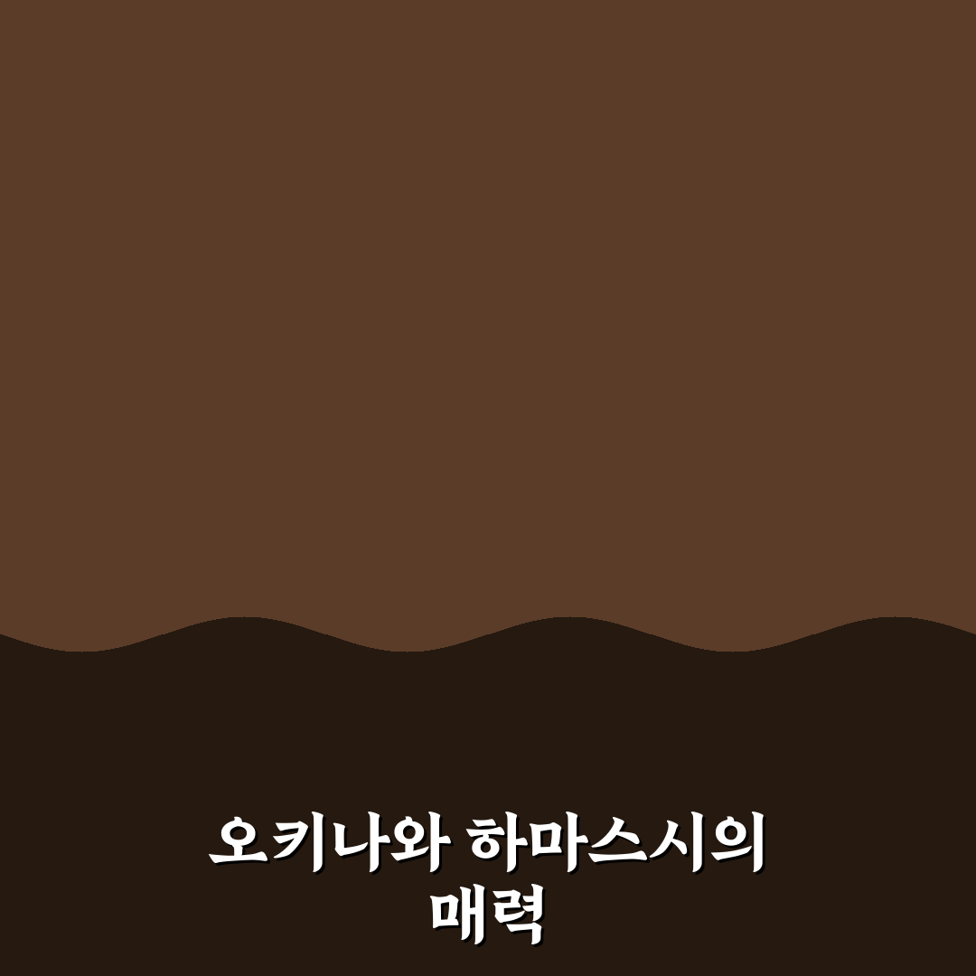 오키나와 하마스시 방문 꿀팁과 인기 메뉴 정리