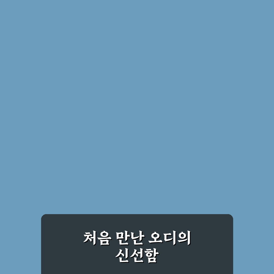 오디 효능 여자 직접 알아보니 달랐던 변화점
