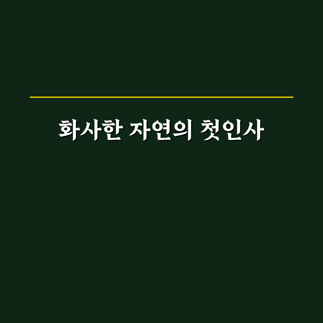 함안 악양생태공원 샤스타데이지 방문 후기, 직접 가보니