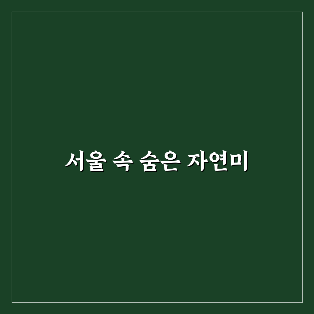 서울 이팝나무 명소 방문 후기, 봄철 풍경 직접 가보니