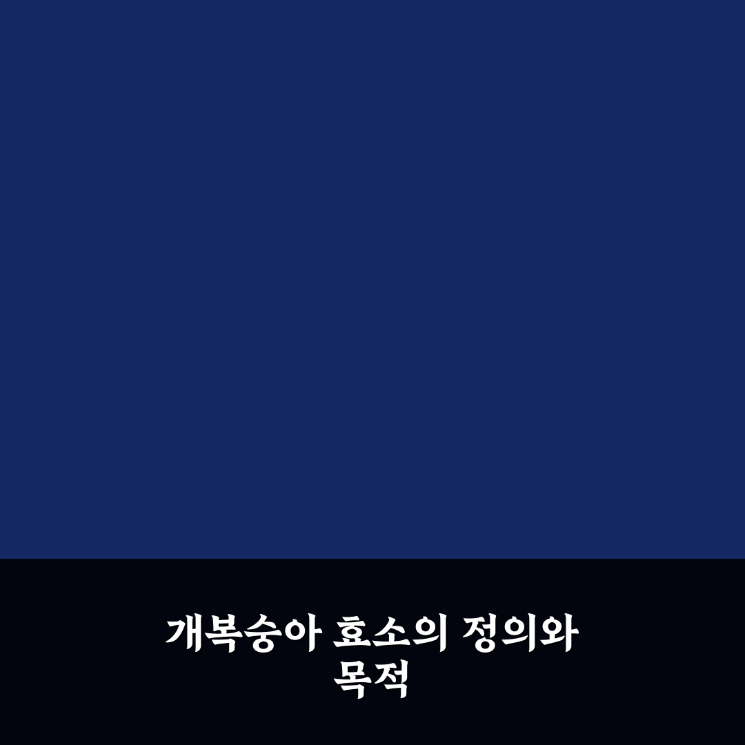 개복숭아 효소 만드는법 초보자를 위한 꿀팁 정리
