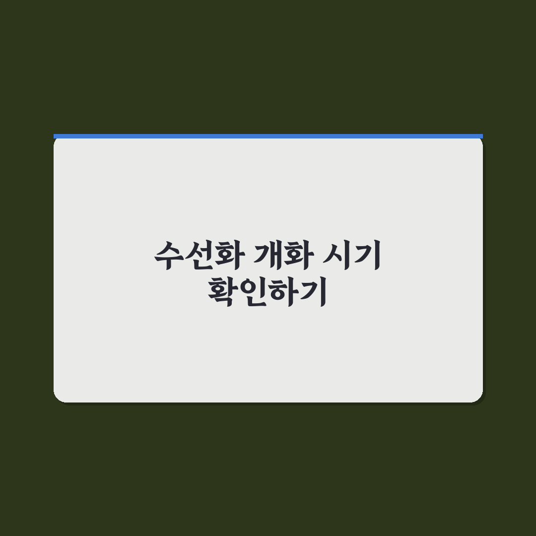 구례 수선화 실시간 촬영 방법과 꿀팁 공유