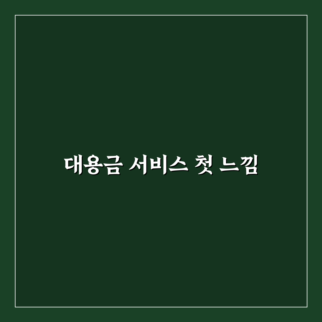 주문 가능대용금 신청 후기, 실제 진행해보니 궁금했던 점