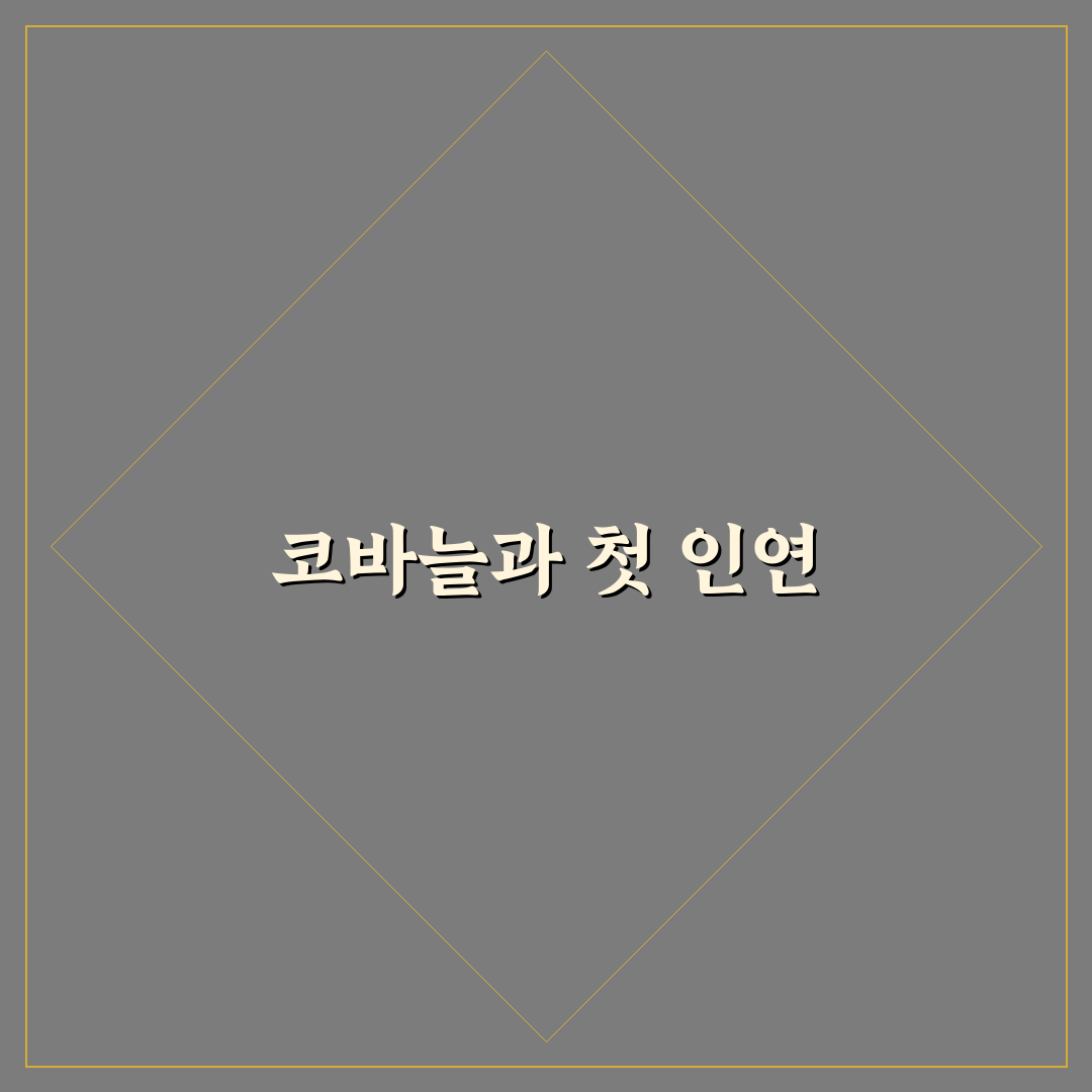 튤립 에티모 코바늘 사용 후기, 초보자가 직접 써보니