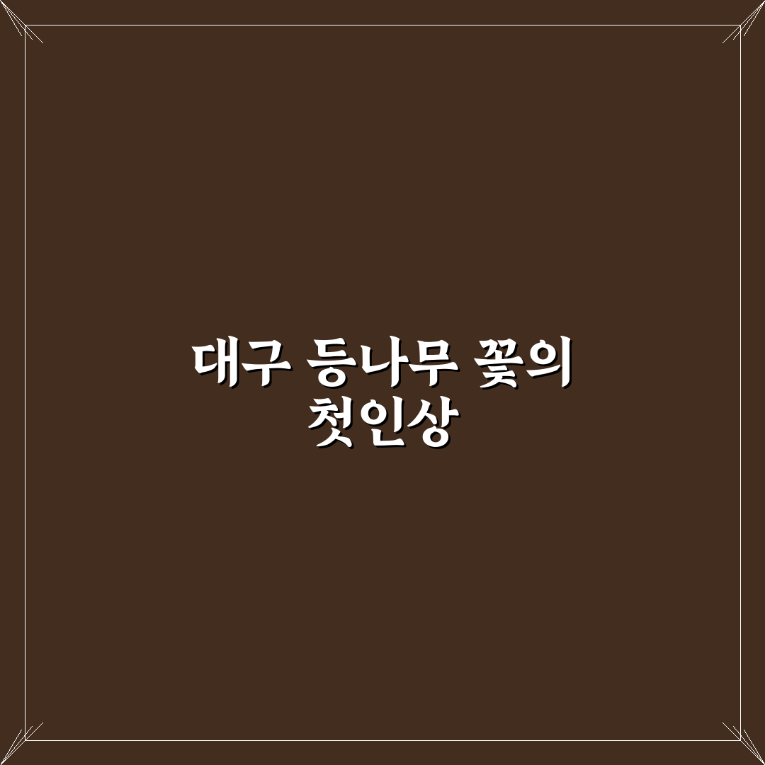 대구 등나무 꽃 방문 후기, 직접 가보니 봄기운 가득했어요