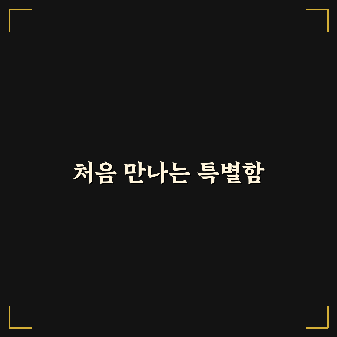 다이소 시흥사거리점 방문 후기, 매장 분위기와 제품 구성