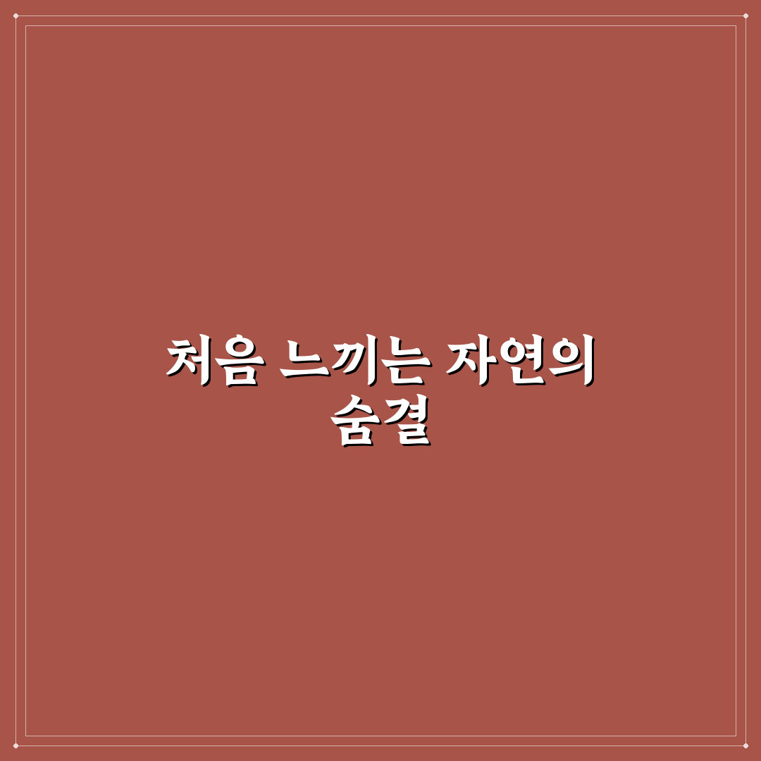 당진 이팝나무 걷기 방문 후기, 계절마다 달라진 풍경을 보며